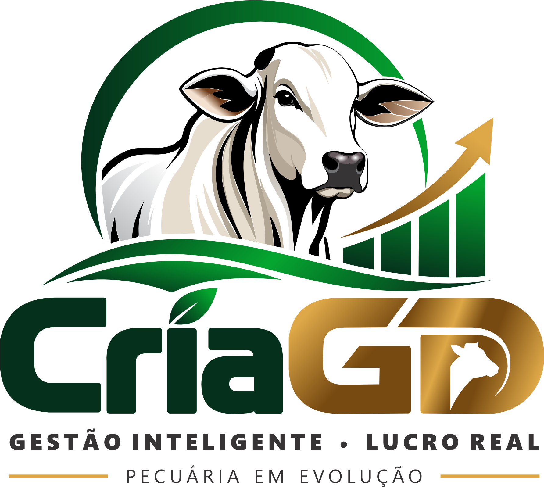 Projeto CriaGD